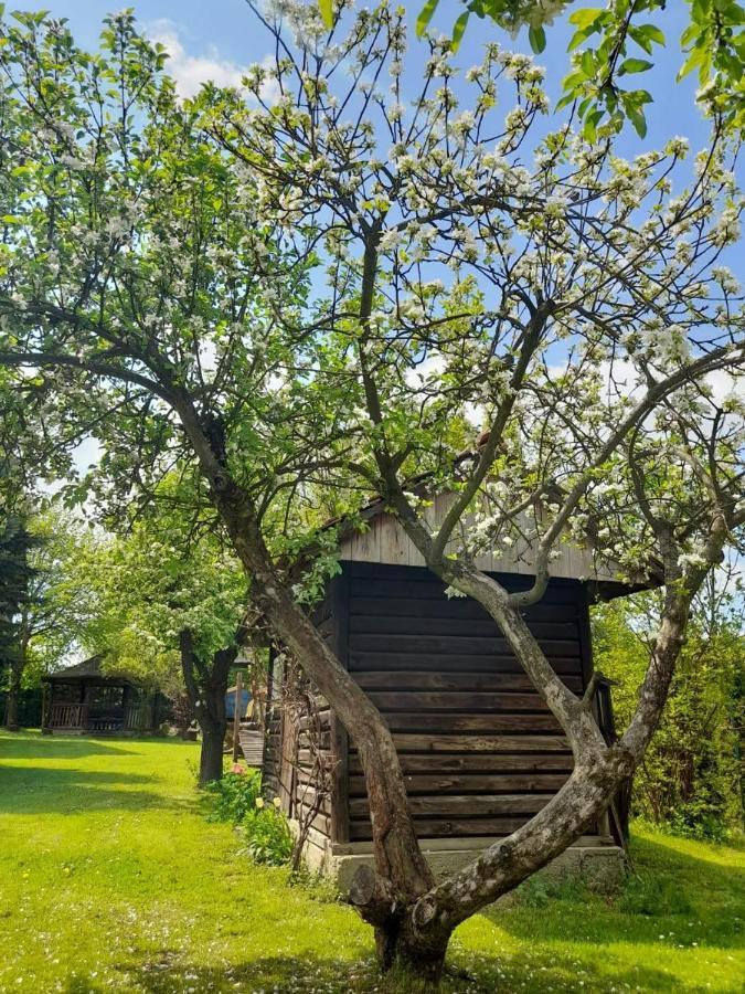 Agroturystyka Stokrotka Rymanów-Zdrój Buitenkant foto
