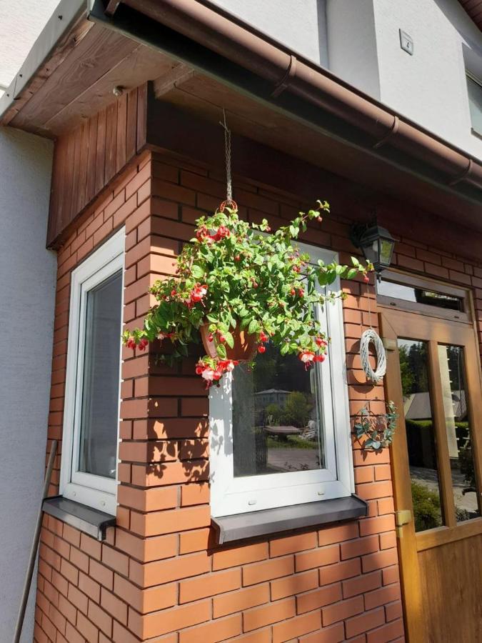 Agroturystyka Stokrotka Rymanów-Zdrój Buitenkant foto