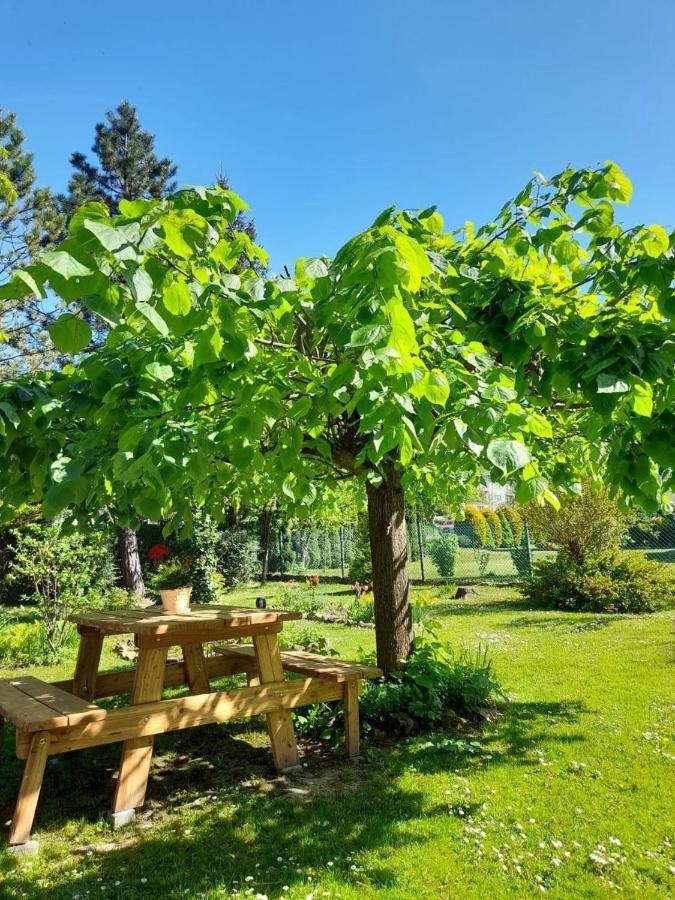 Agroturystyka Stokrotka Rymanów-Zdrój Buitenkant foto
