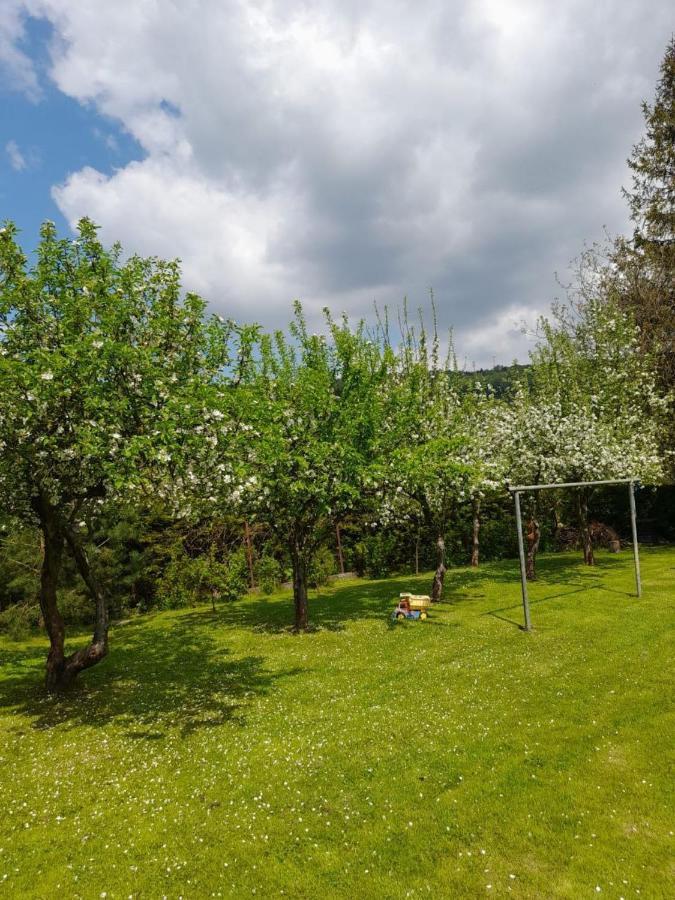 Agroturystyka Stokrotka Rymanów-Zdrój Buitenkant foto
