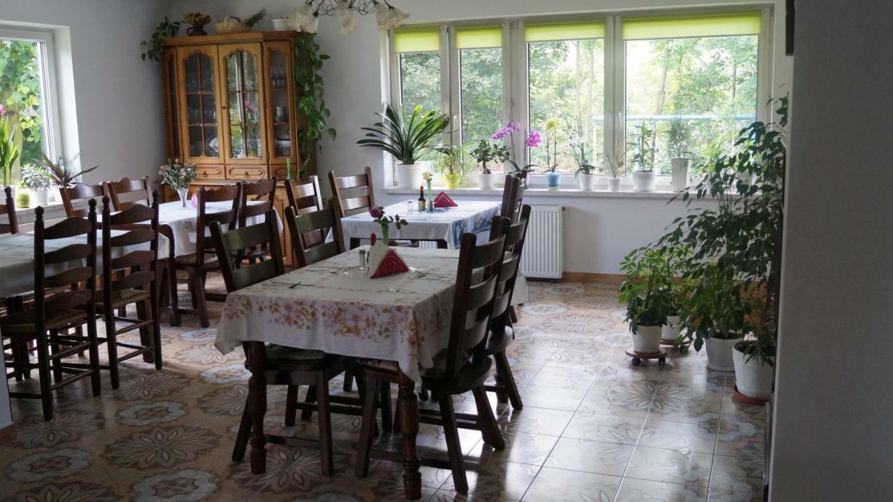 Agroturystyka Stokrotka Rymanów-Zdrój Buitenkant foto
