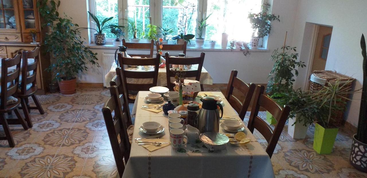 Agroturystyka Stokrotka Rymanów-Zdrój Buitenkant foto